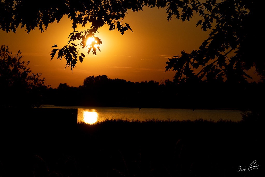Levé du soleil sur le Lac du Der